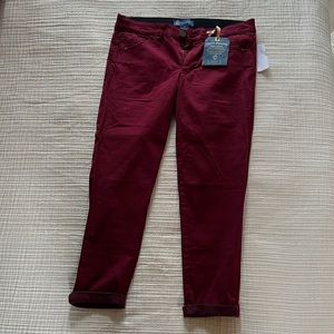 Democracy Red Ankle Skimmer